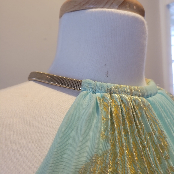 Xscape, by Joanne Chen, Pleated Halter  Maxi Gown - Picture 5 of 5